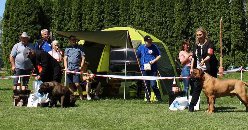 Letné sídlo Rosinovcov