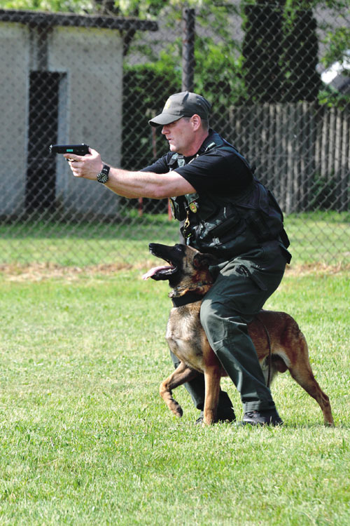 Psovodi – obranári ZVJS MS SR, MsP Brno a KR PZ v Bratislave predviedli aj ukážky postupu pri zásahu so zbraňou, pri ktorej služobný pes chráni psovoda tak, že postupuje s ním v kryte psovodových nôh