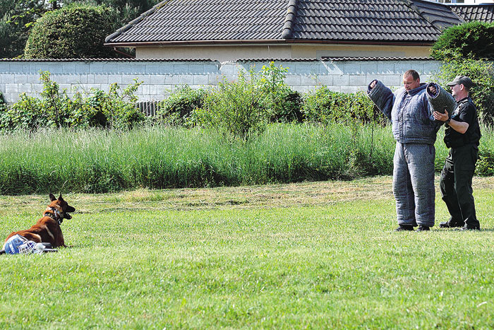 Psovod – obranár ZVJS MS SR predviedol výsluch a osobnú prehliadku zadržanej osoby stráženej služobným psom