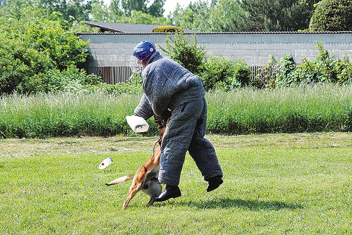 Psovod – obranár ZVJS MS SR predviedol aj útok služobného psa na figuranta oblečeného v ringovom obleku, brániaceho sa plastikovými nádobami naplnenými štrkom. Ringový ochranný oblek umožňuje služobnému psovi záhryzy po celom tele útočníka