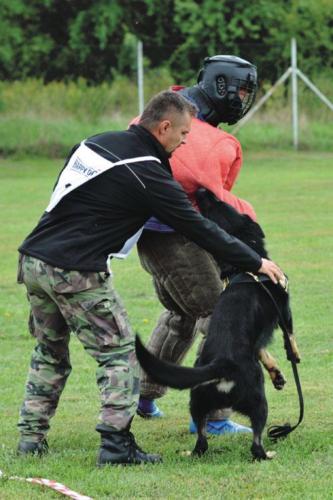 Služobný pes ARGO Gab-Aja reprezentanta OR PZ v Dunajskej Strede práp. Szabolcsa Doráka útok výtržníkov zastavil, ale nedarilo sa mu v disciplíne blokovanie figuranta s nasadeným ochranným náhubkom, a tak získal celkové 10. miesto.