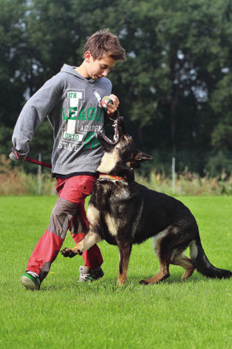 Presná chôdza psa pri nohe psovoda sa cvičí pri hyperaktívnych zvieratách ťažko – dôležitá je správna motivácia odmenou kúskom potravy alebo vhodne umiestneným aportom.